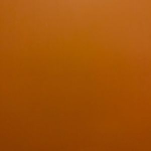 Meet your Posher, Aimée